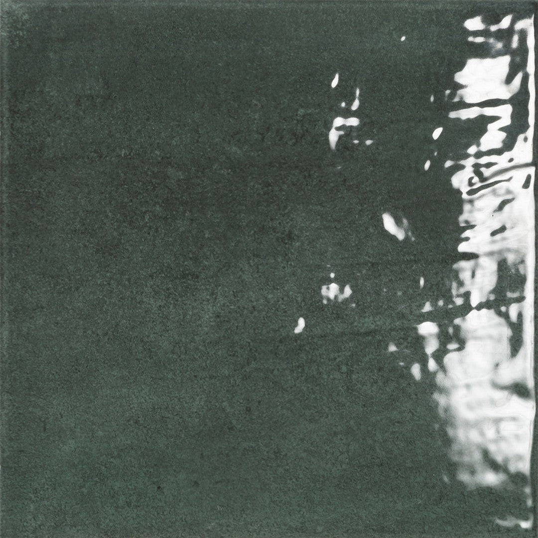 Emser Passion 9" x 9" Pressed Glossy Porcelain Tile