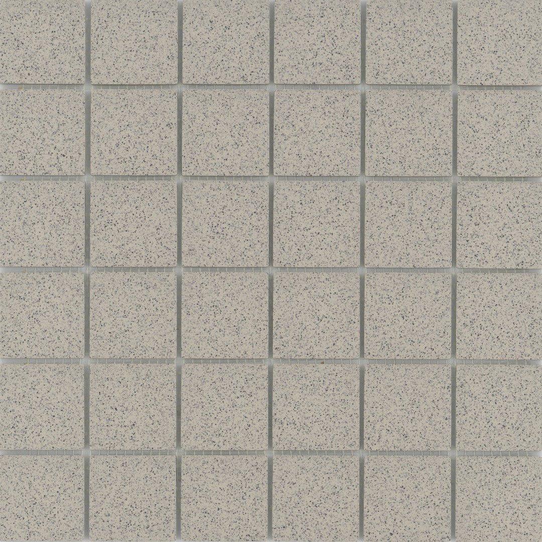 Emser Source 12" x 12" Matte Porcelain 2" Mosaic