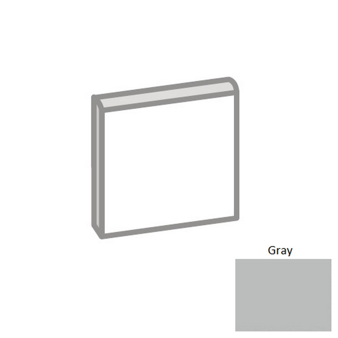 Emser Source 2" x 2" Matte Porcelain Bullnose