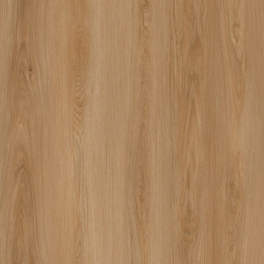 Parkay Floors Force Plus 9.37" x 60" Vinyl Plank