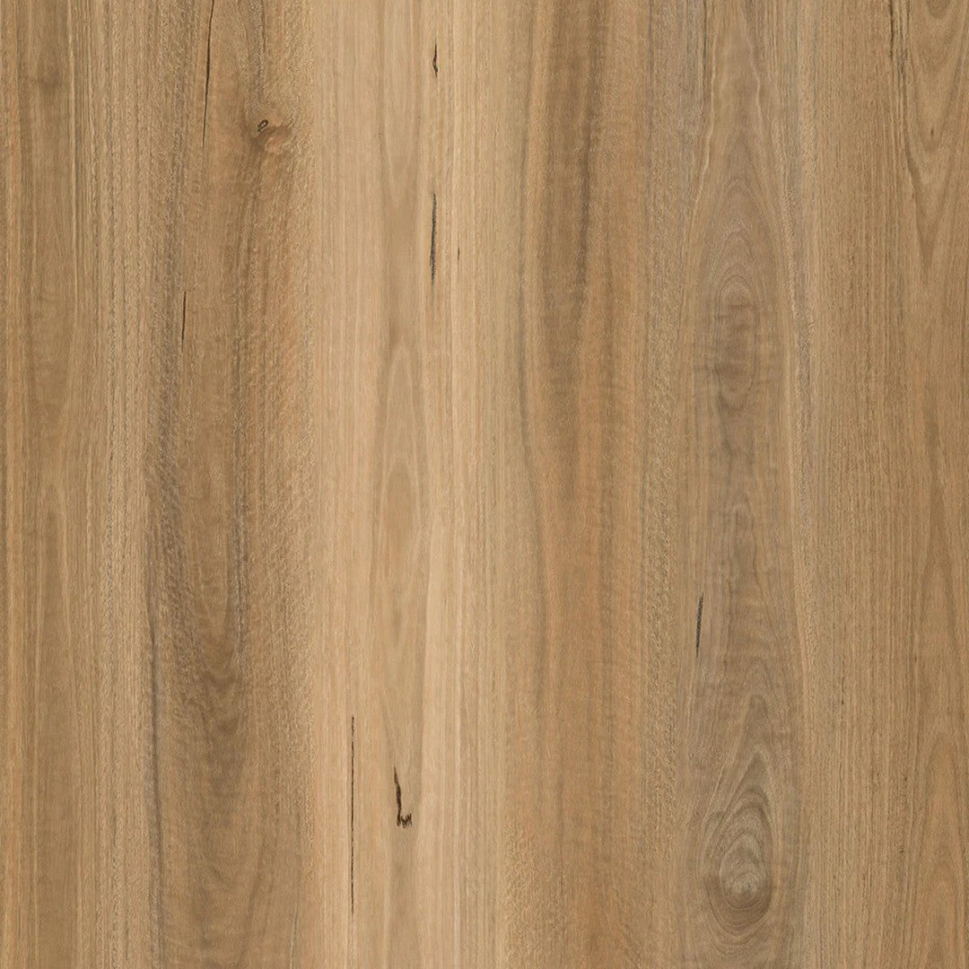 Parkay Floors Force Plus 9.37" x 60" Vinyl Plank