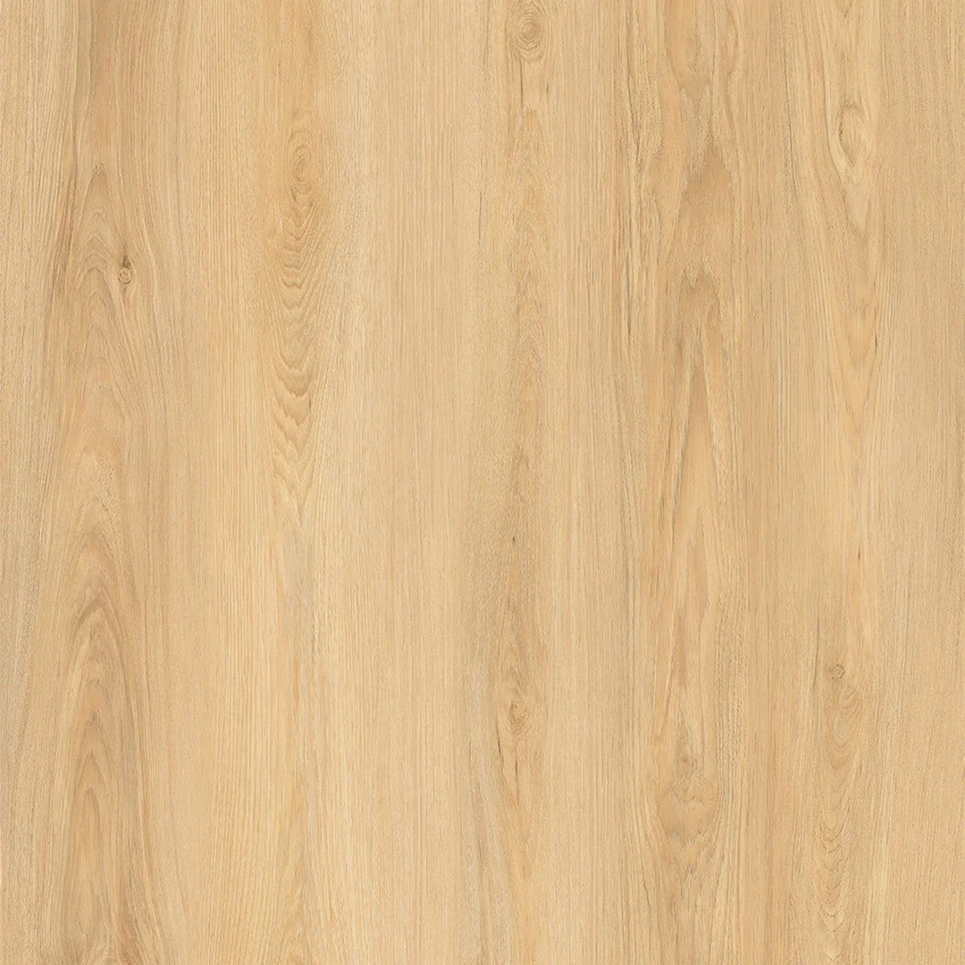 Parkay Floors Force Plus 9.37" x 60" Vinyl Plank