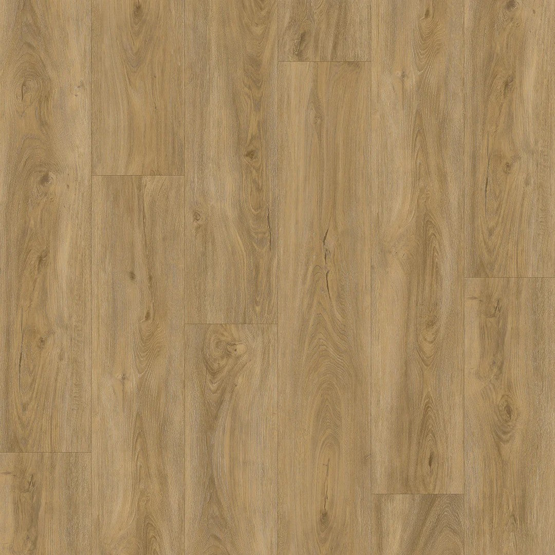 Parkay Floors XPS Mega Sound 9.37" x 60" Vinyl Plank