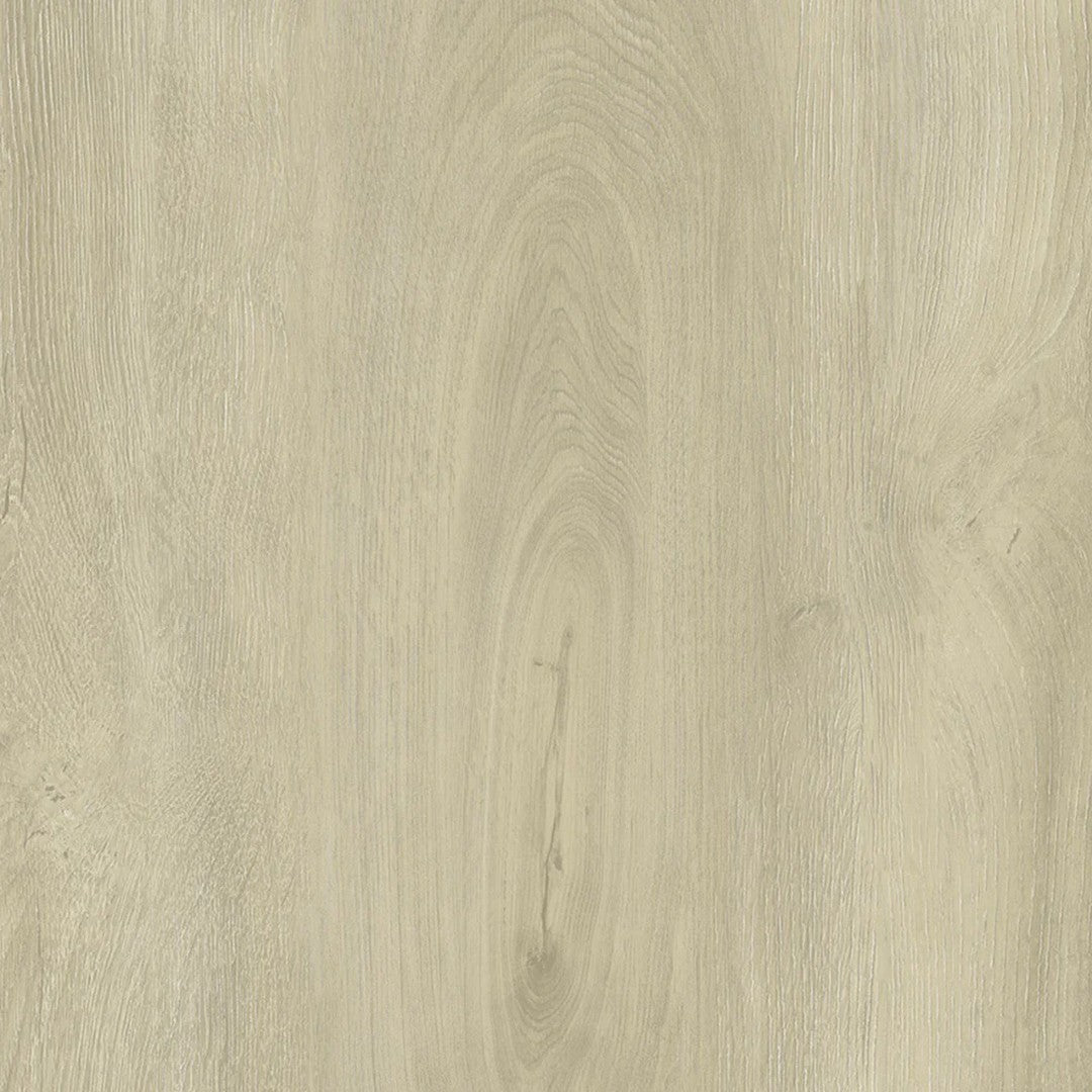 Parkay Floors XPS Mega Sound 9.37" x 60" Vinyl Plank