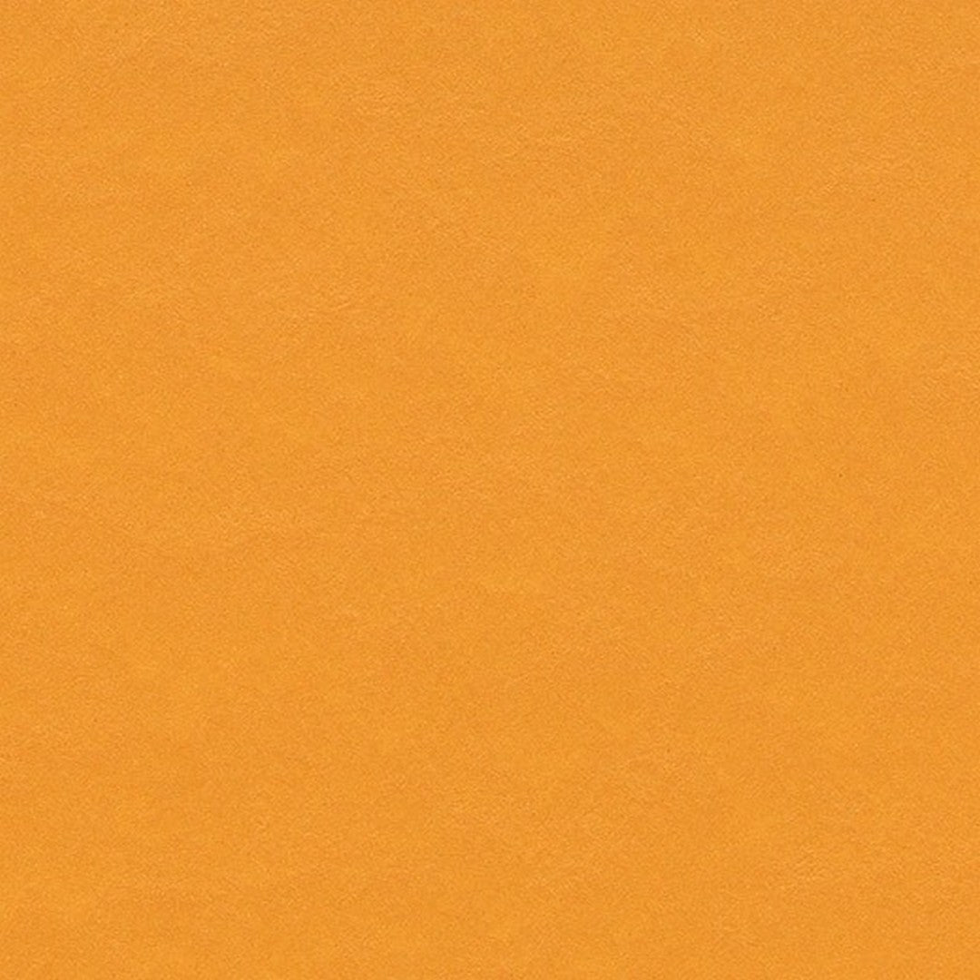 Forbo Marmoleum Modular Color 9.8" x 9.8" Smooth Vinyl Tile