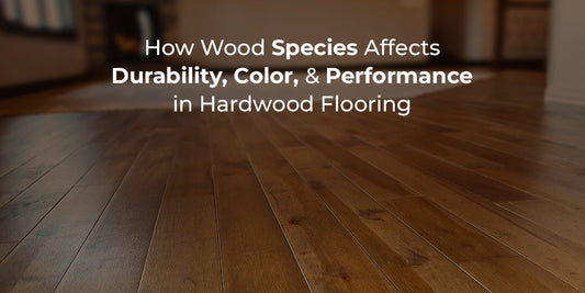 Wood species comparison for hardwood flooring — Floors Center