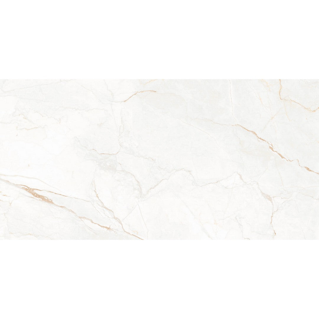 Happy Floors Statik 24" x 48" Polished Porcelain Tile