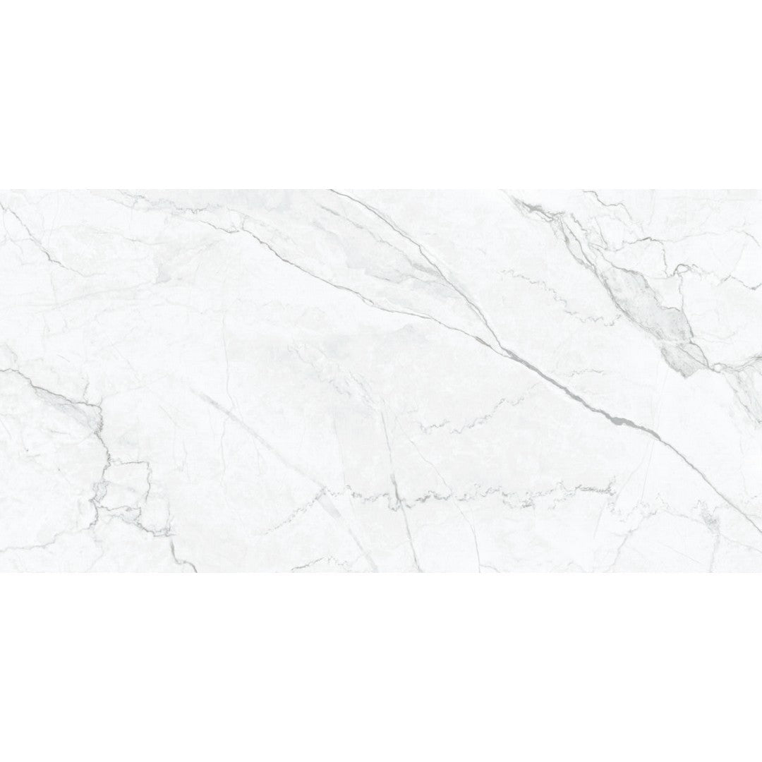 Happy Floors Statik 24" x 48" Polished Porcelain Tile