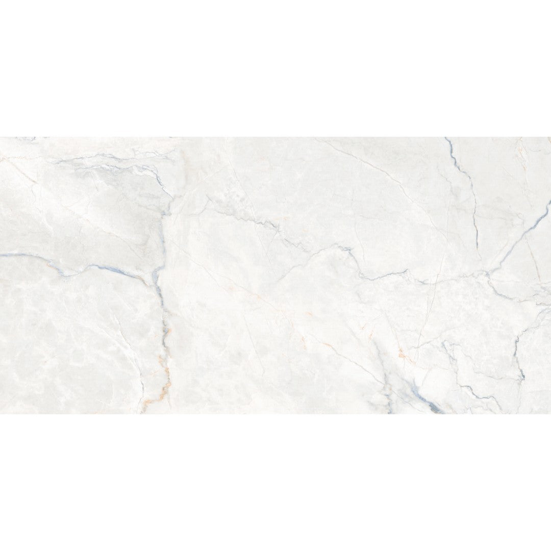 Happy Floors Statik 24" x 48" Polished Porcelain Tile