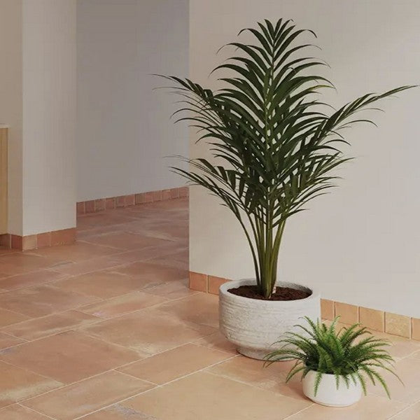 WOW-Roots-XL-8.6-x-17.2-Matte-Porcelain-Tile-Cotto