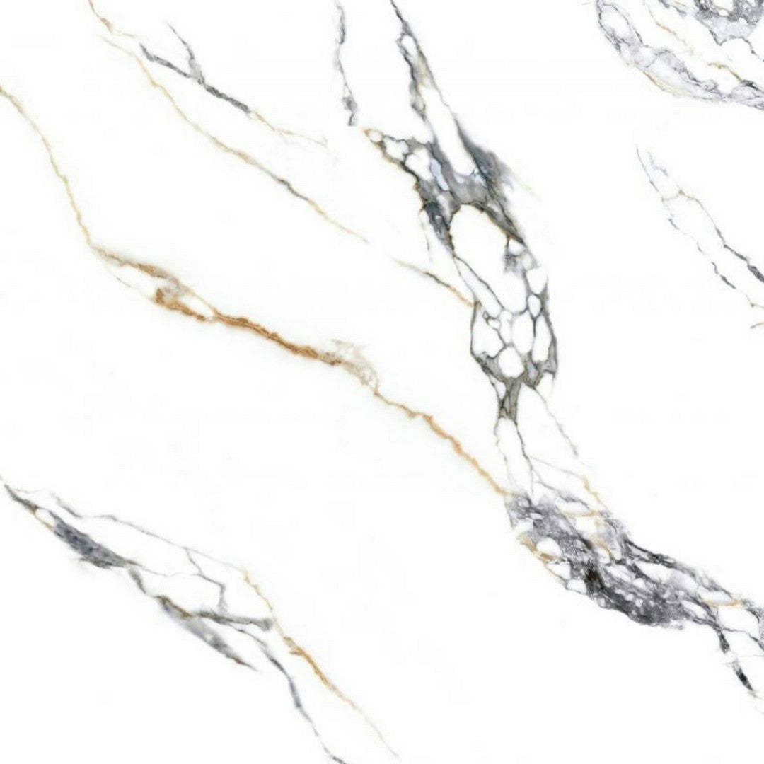 Alfagres Superior 32" x 32" Rectified Polished Porcelain Tile