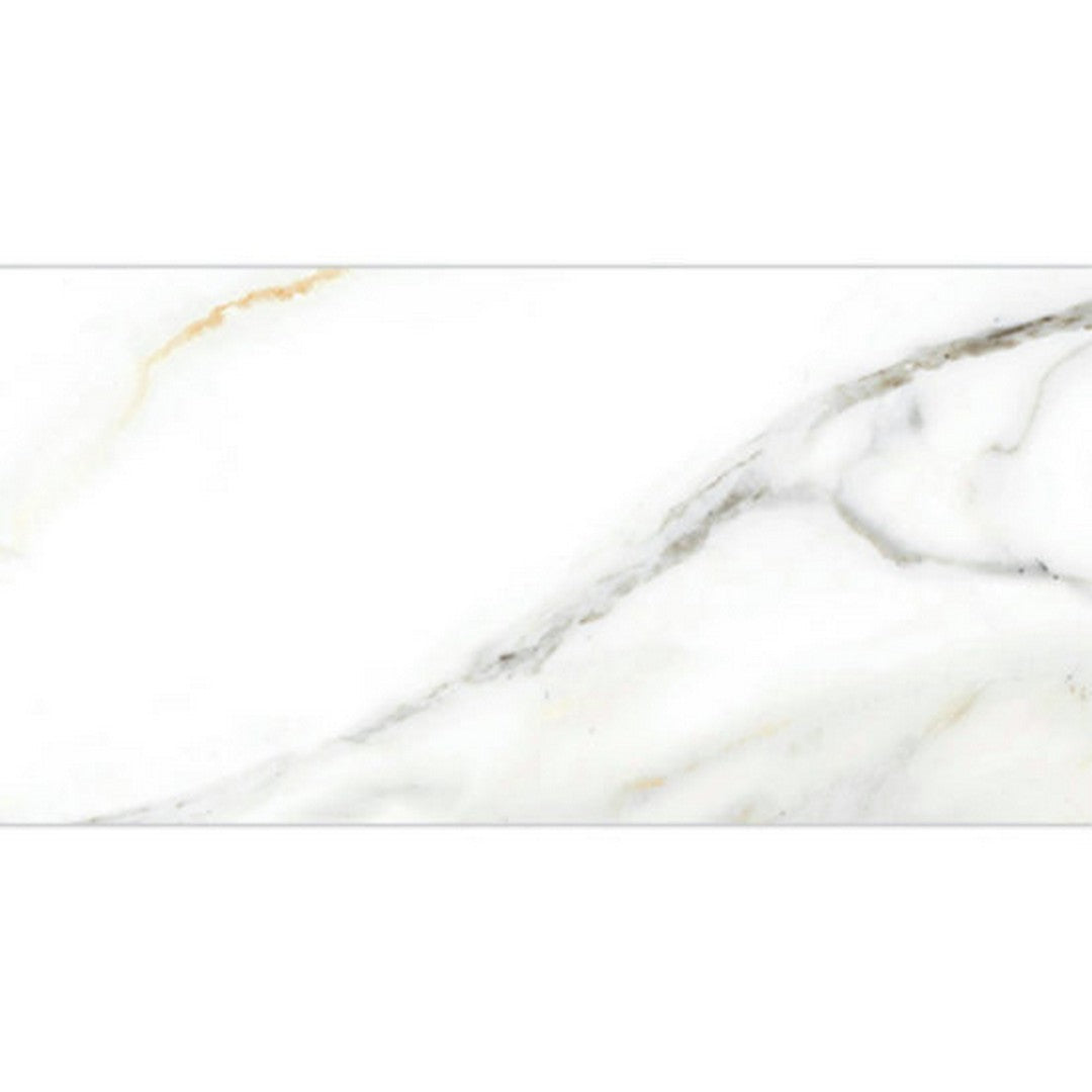 Alfagres Marmol 12" x 24" Glossy Ceramic Tile