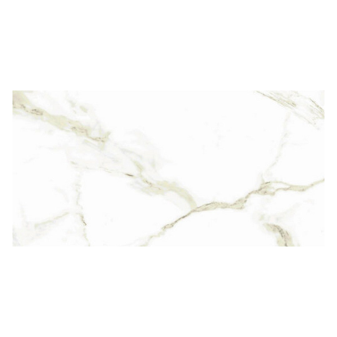 Alfagres Naos 12" x 24" Rectified Glossy Porcelain Tile