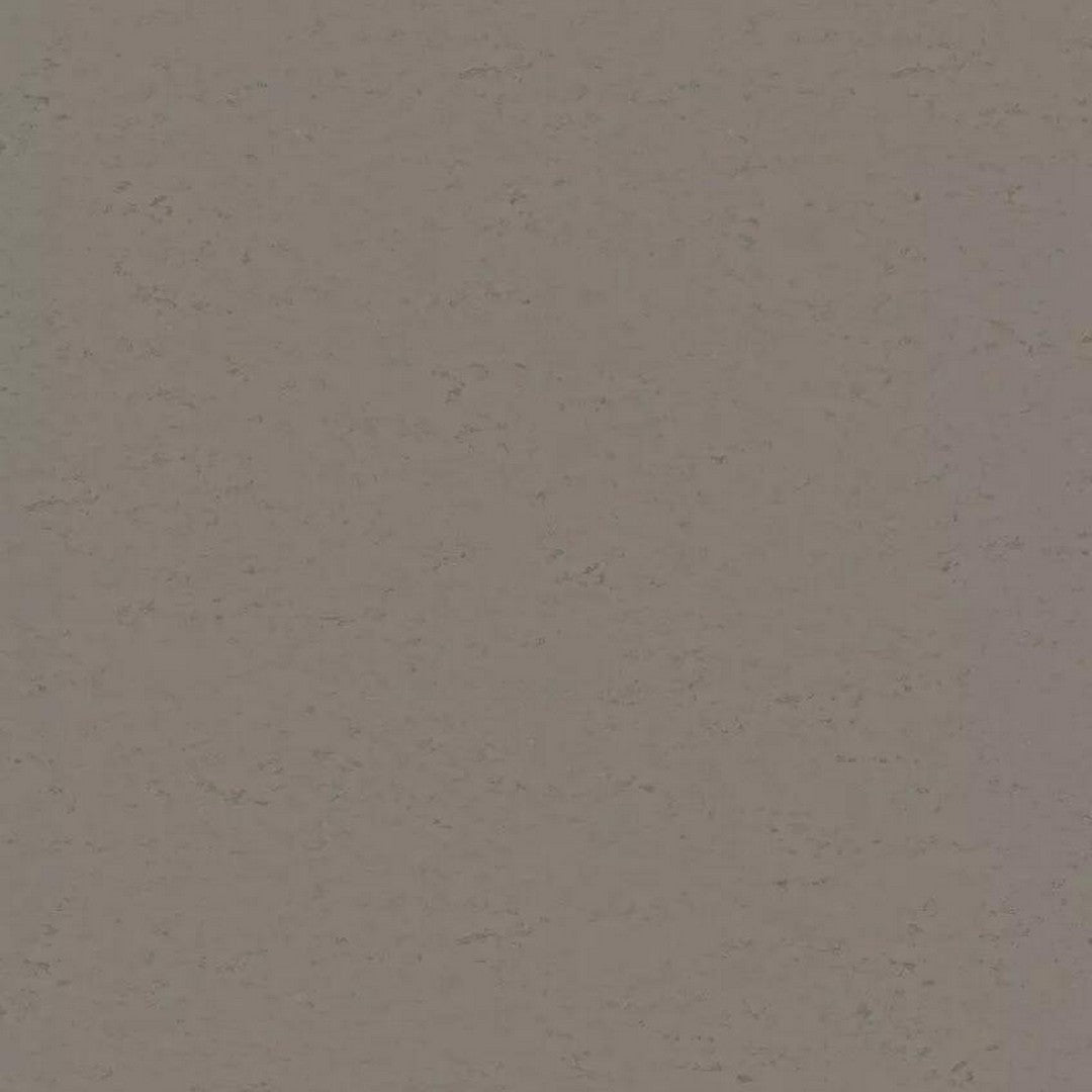 Tarkett LinoFloor xf2 Originale 6'6" Linoleum Floor Sheet