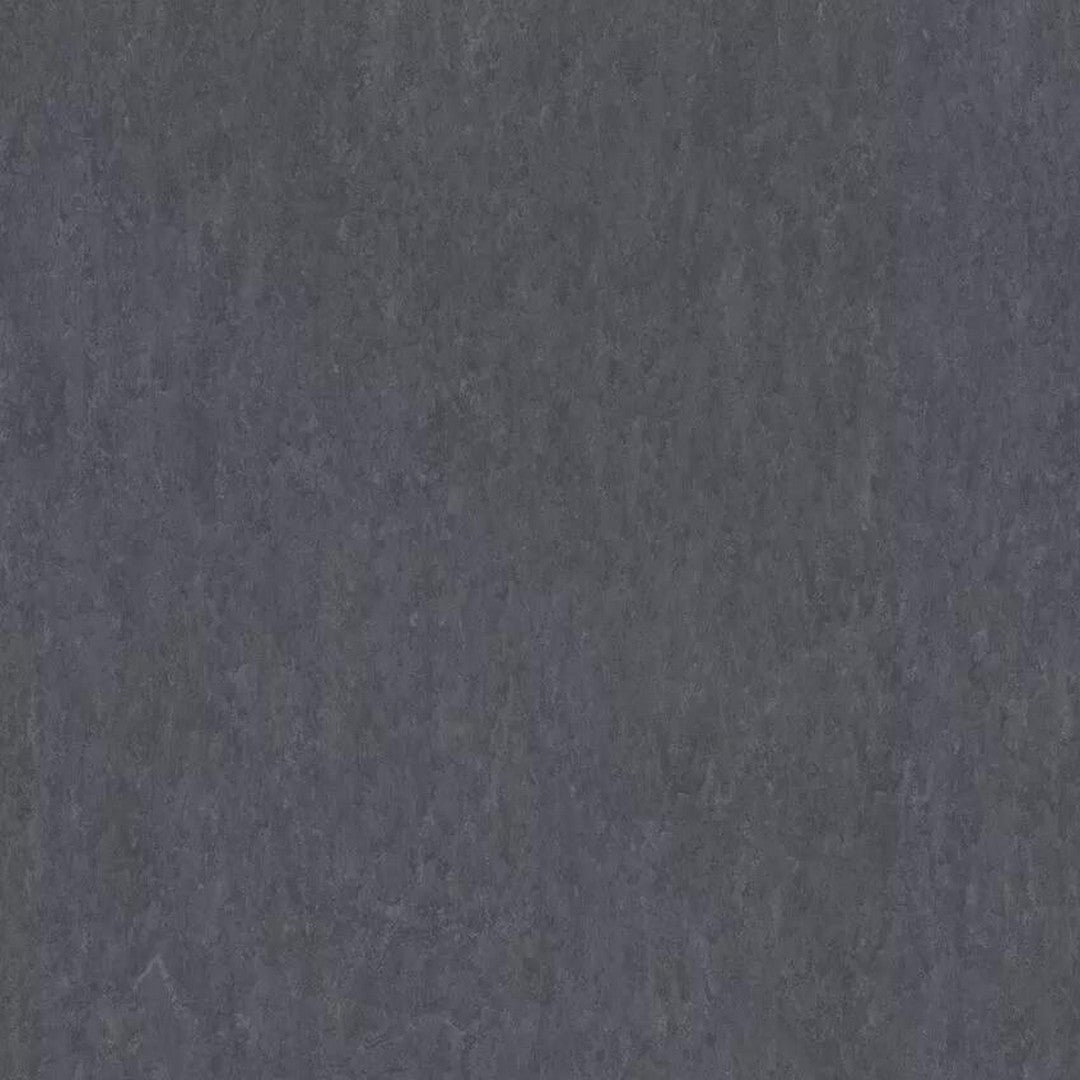Tarkett LinoFloor xf2 Veneto 6'6" Linoleum Floor Sheet