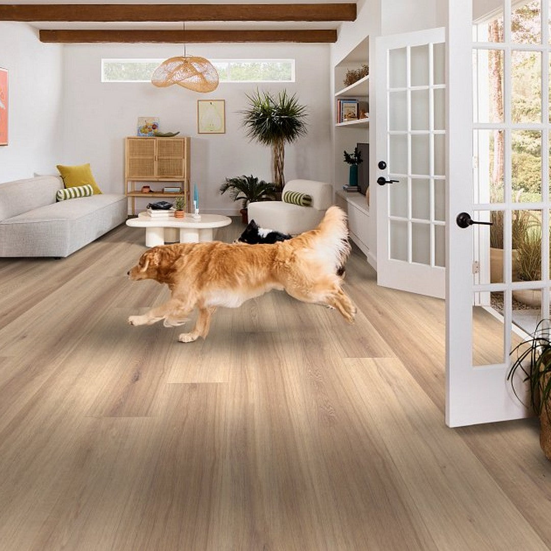 Shaw Briard 9