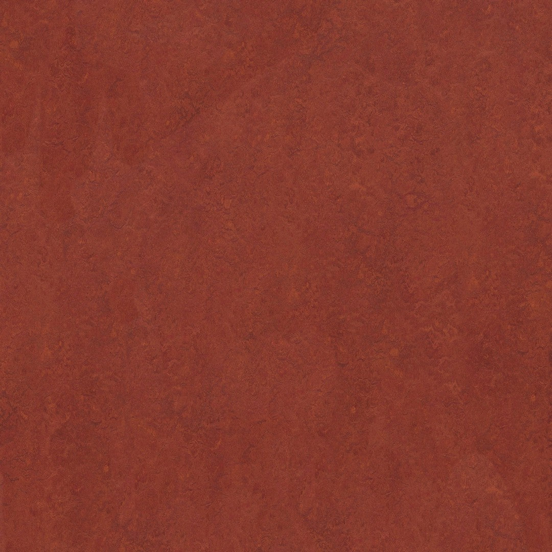 Forbo Marmoleum Fresco 6.5' x 105' Smooth Vinyl Sheet