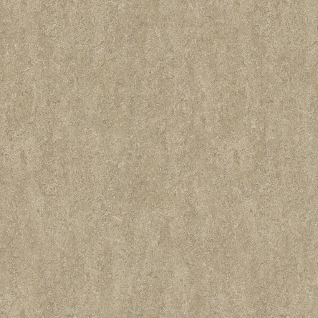 Forbo Marmoleum Real 6.5' x 105' Smooth Vinyl Sheet