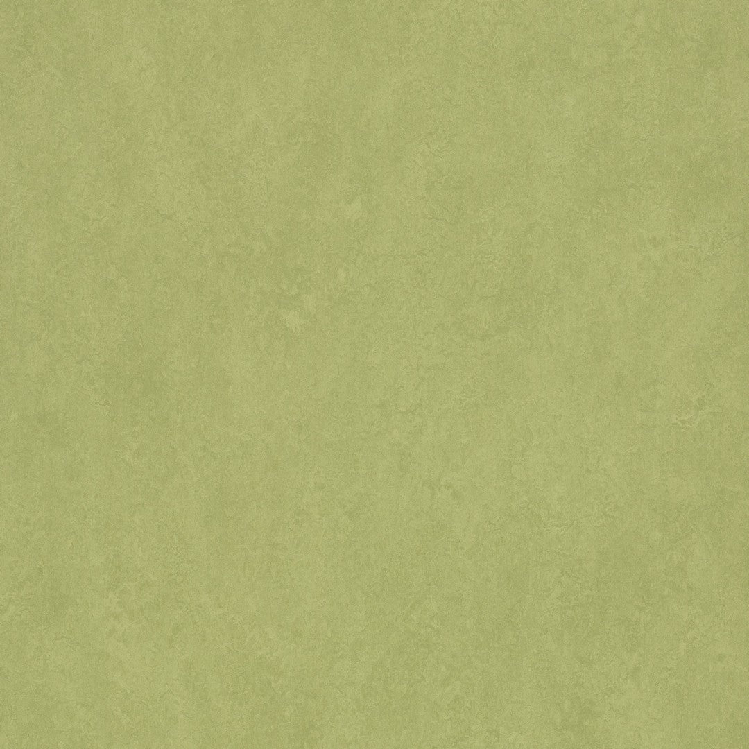 Forbo Marmoleum Fresco 6.5' x 105' Smooth Vinyl Sheet