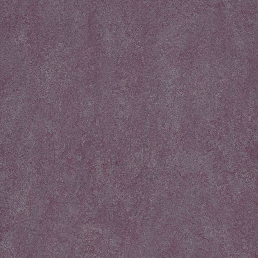 Forbo Marmoleum Real 6.5' x 105' Smooth Vinyl Sheet