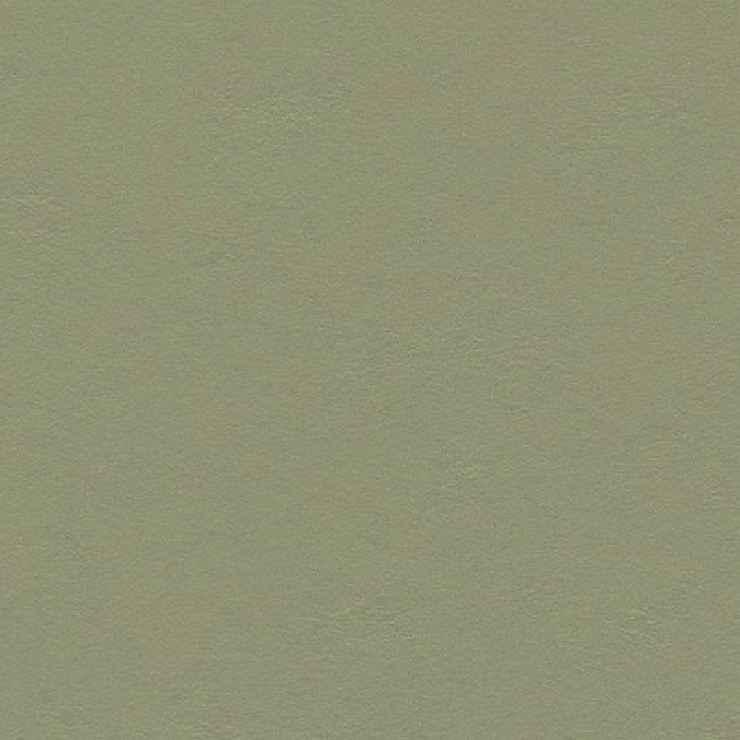 Forbo Marmoleum Decibel 6.5' x 105' Smooth Vinyl Sheet