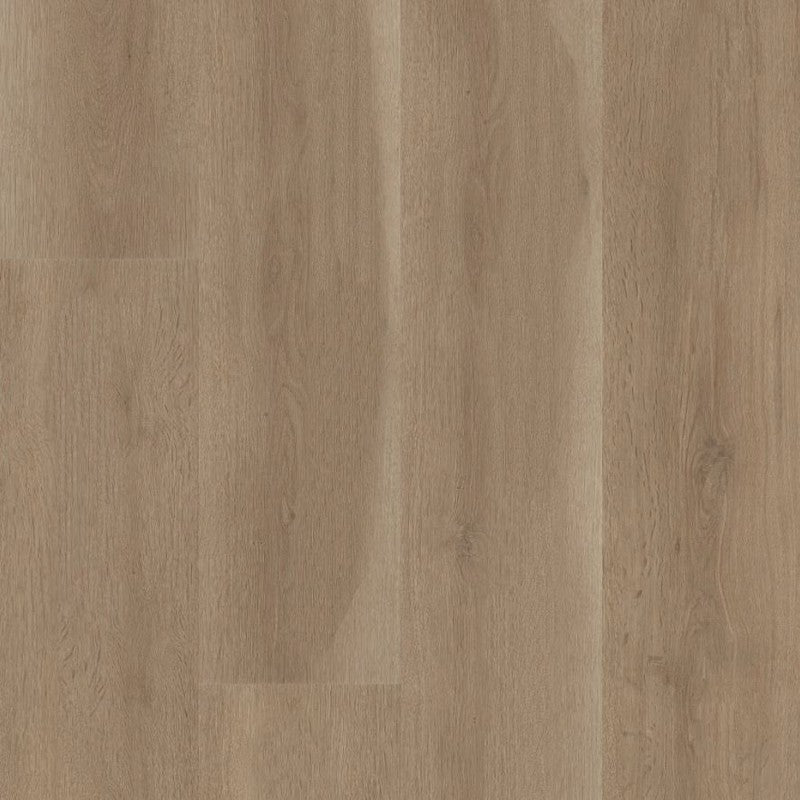 Shaw Floors Aspire Natural Bevel 9" x 60" WPC Vinyl Plank 20 Mil