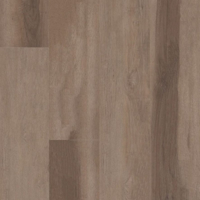 Shaw Floors Aspire Natural Bevel 9" x 60" WPC Vinyl Plank 20 Mil