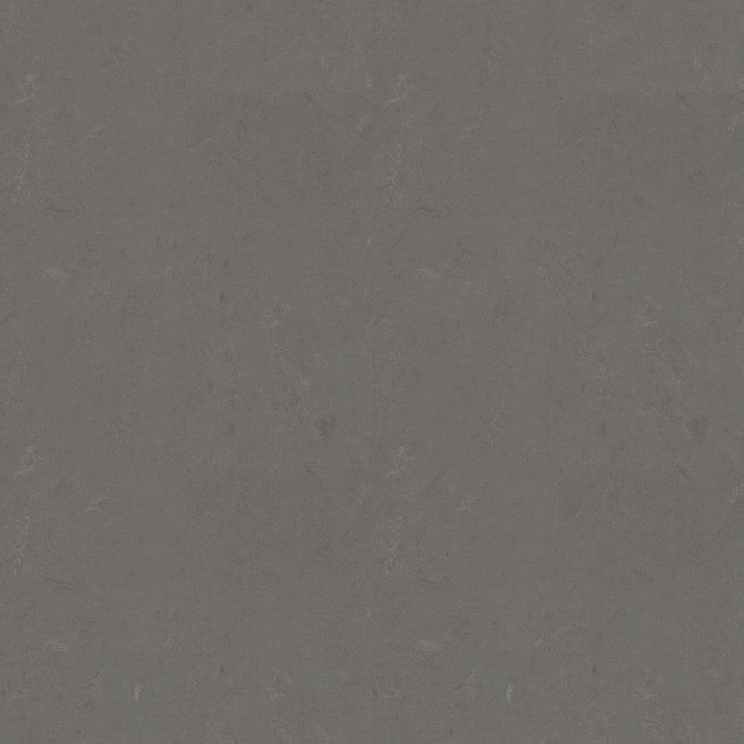 Forbo Marmoleum Concrete 6.5' x 105' Smooth Vinyl Sheet