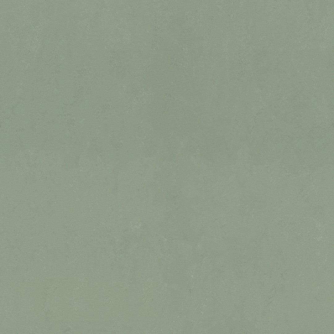 Forbo Marmoleum Concrete 6.5' x 105' Smooth Vinyl Sheet