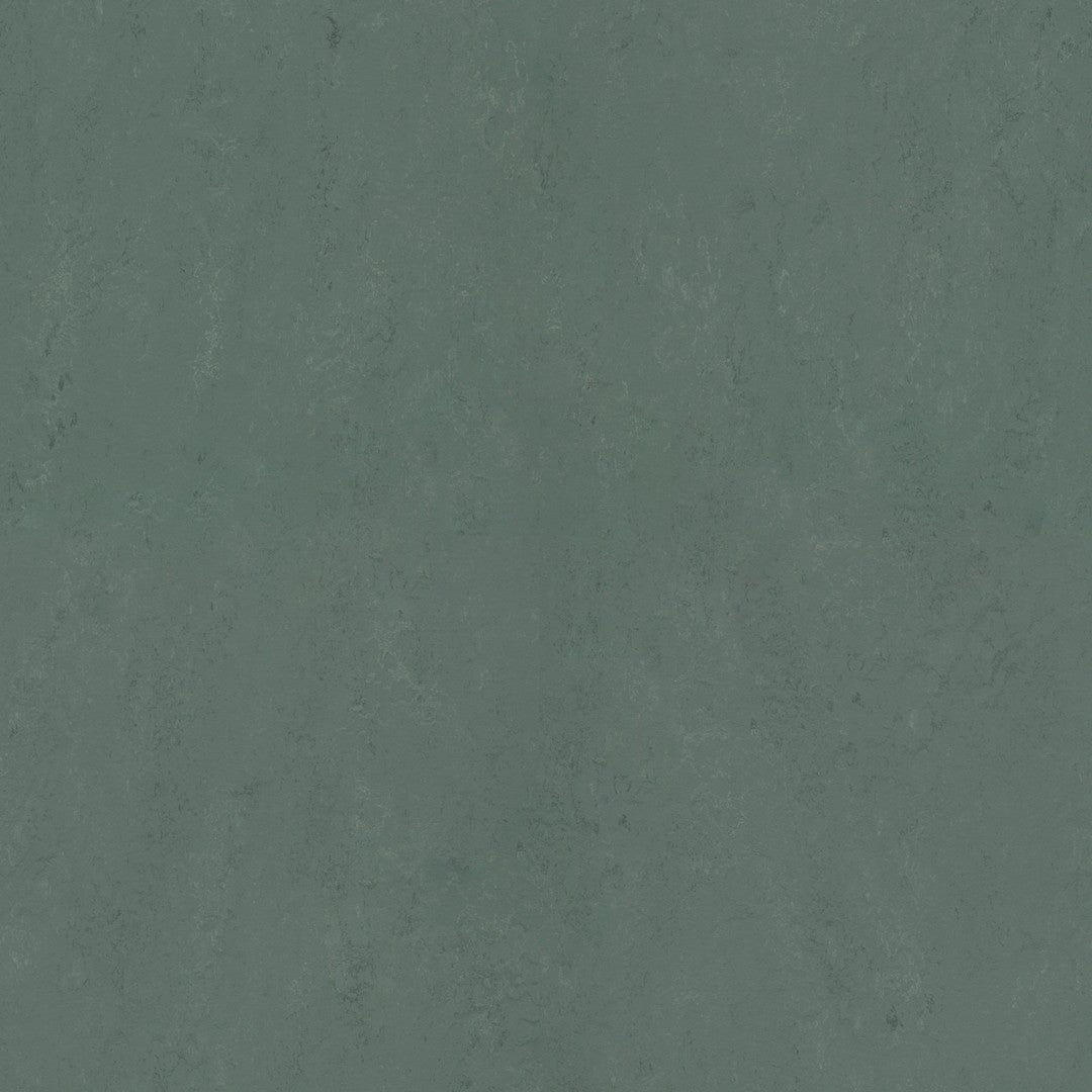 Forbo Marmoleum Concrete 6.5' x 105' Smooth Vinyl Sheet