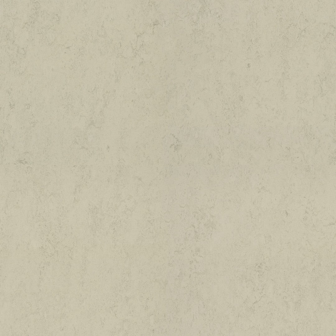 Forbo Marmoleum Concrete 6.5' x 105' Smooth Vinyl Sheet