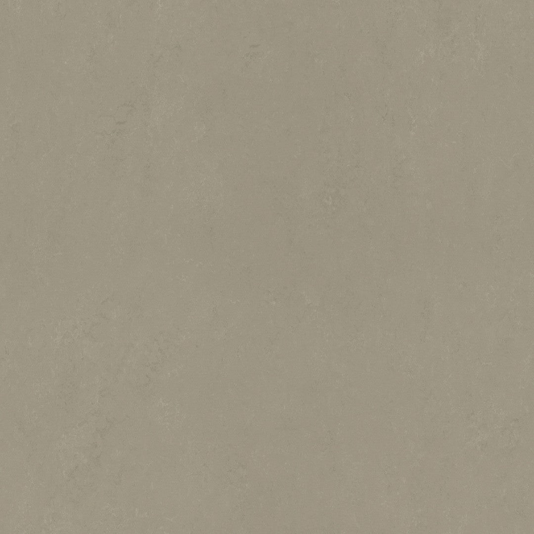 Forbo Marmoleum Concrete 6.5' x 105' Smooth Vinyl Sheet