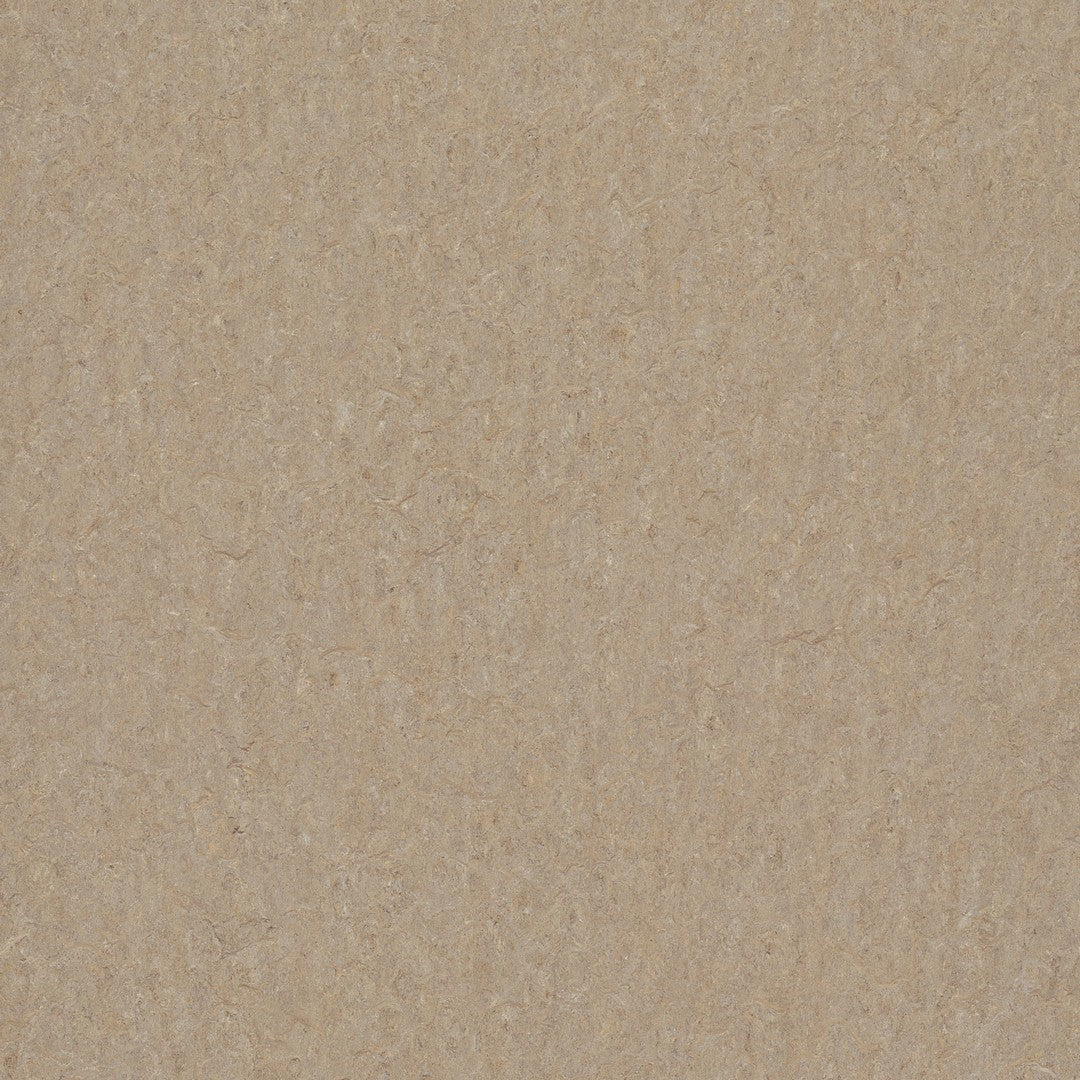 Forbo Marmoleum Terra 6.5' x 105' Smooth Vinyl Sheet