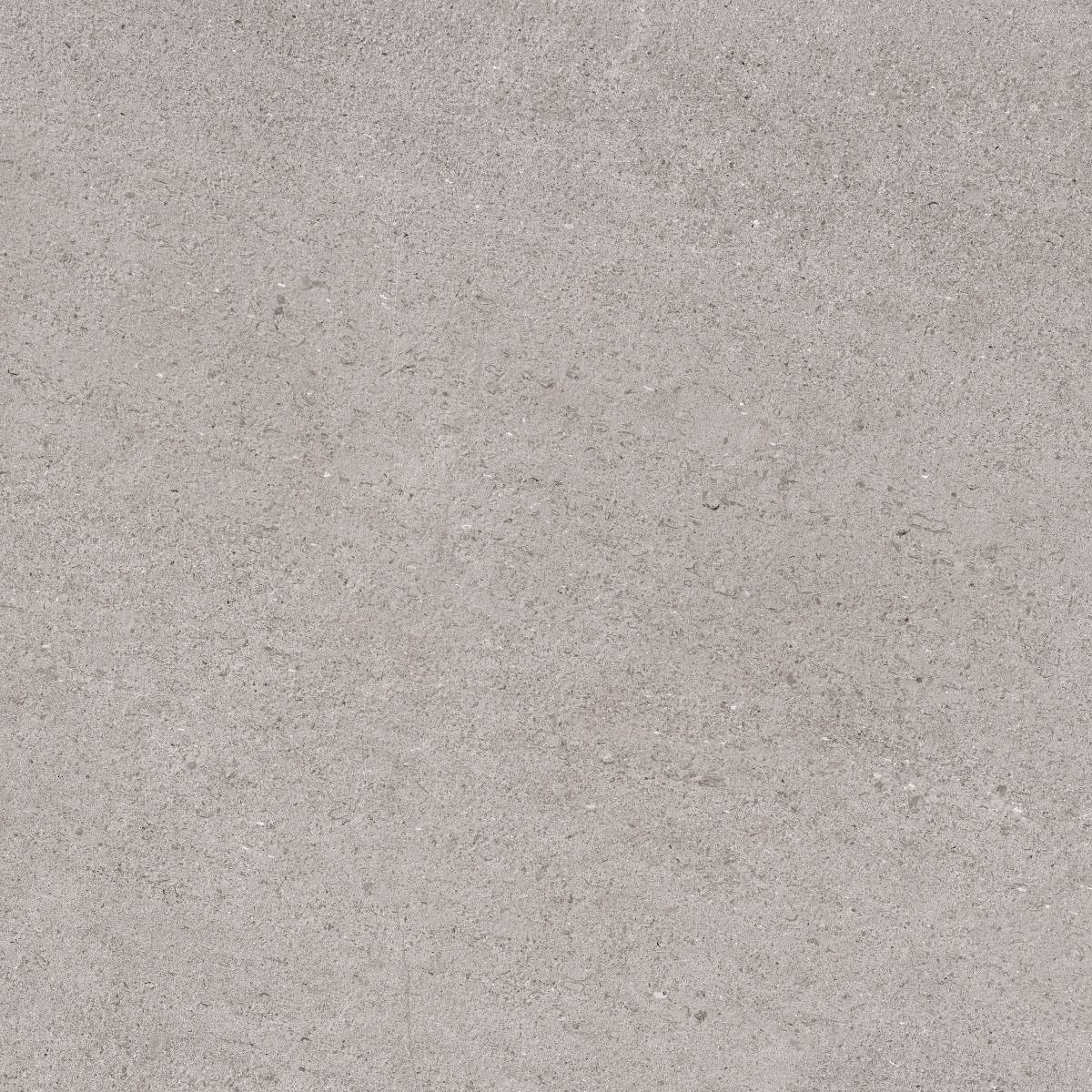 Landmark Ceramics Frontier20 Stone 24" x 24" Rectified Matte Porcelain Paver