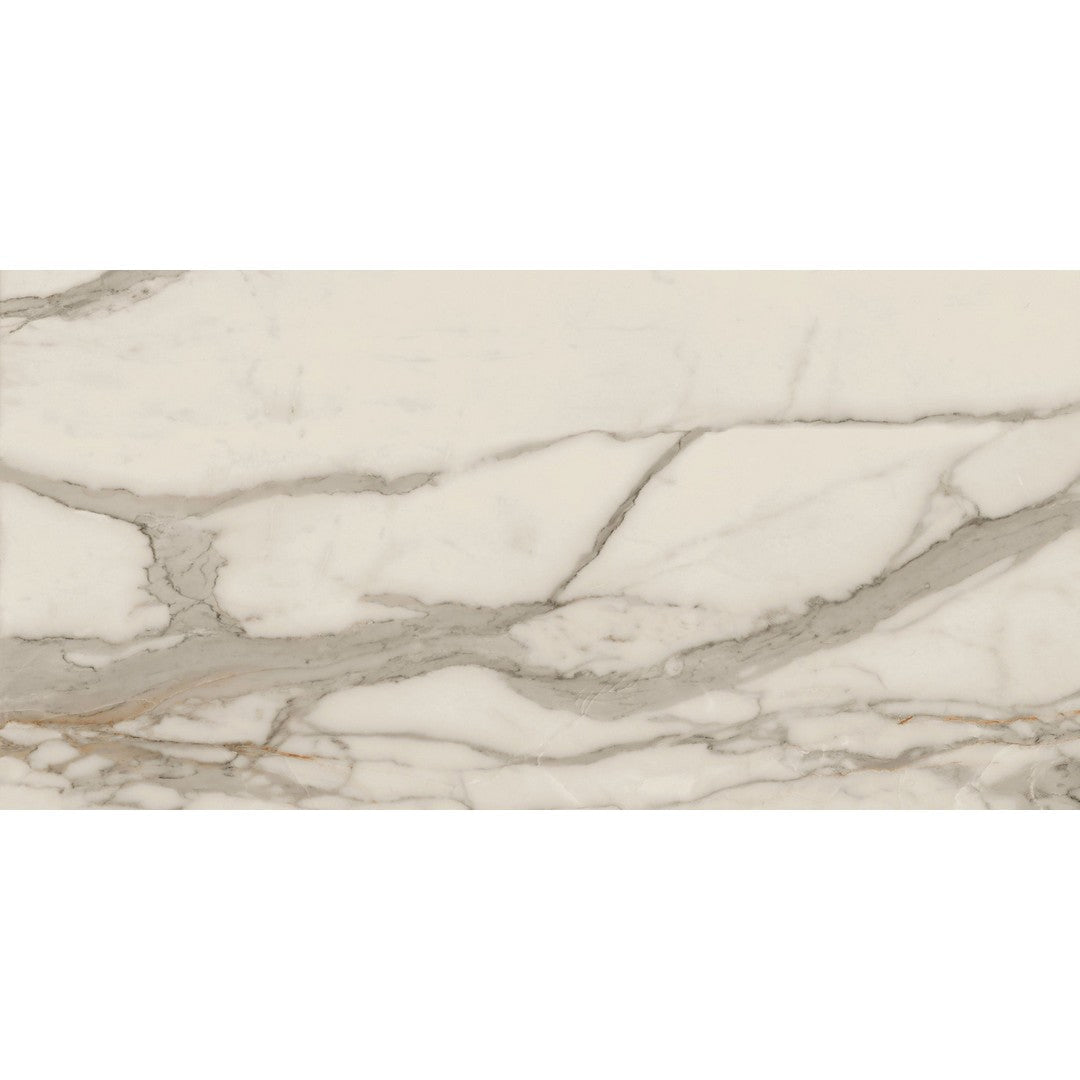 Landmark Ceramics Charme 24" x 48" Rectified Matte Porcelain Tile