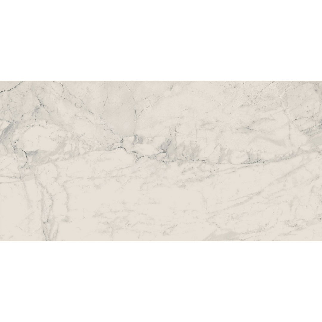 Landmark Ceramics Charme 24" x 48" Rectified Matte Porcelain Tile