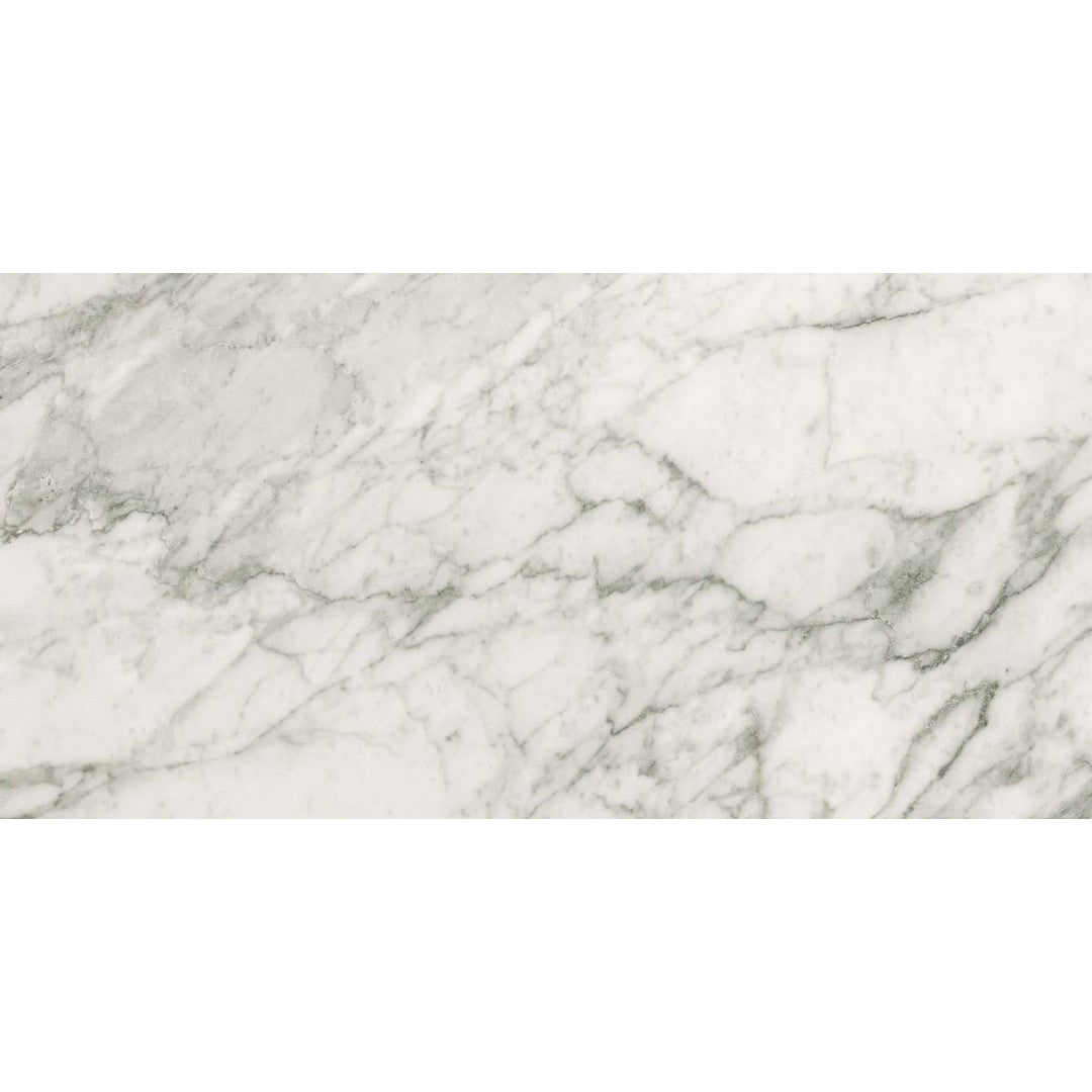 Landmark Ceramics Charme Evo 12" x 24" Rectified Matte Porcelain Tile