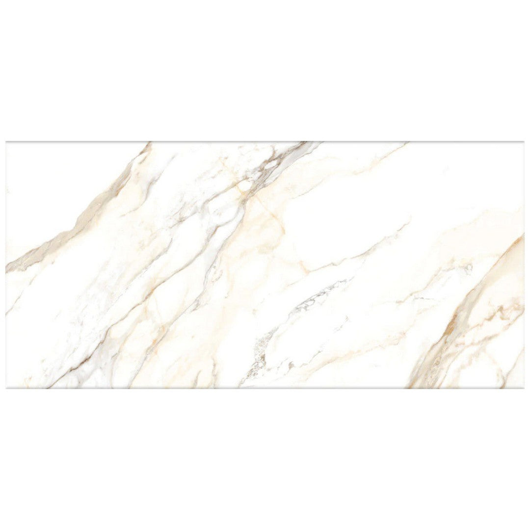 Happy Floors Dorian 12" x 24" Rectified Polished Porcelain Tile