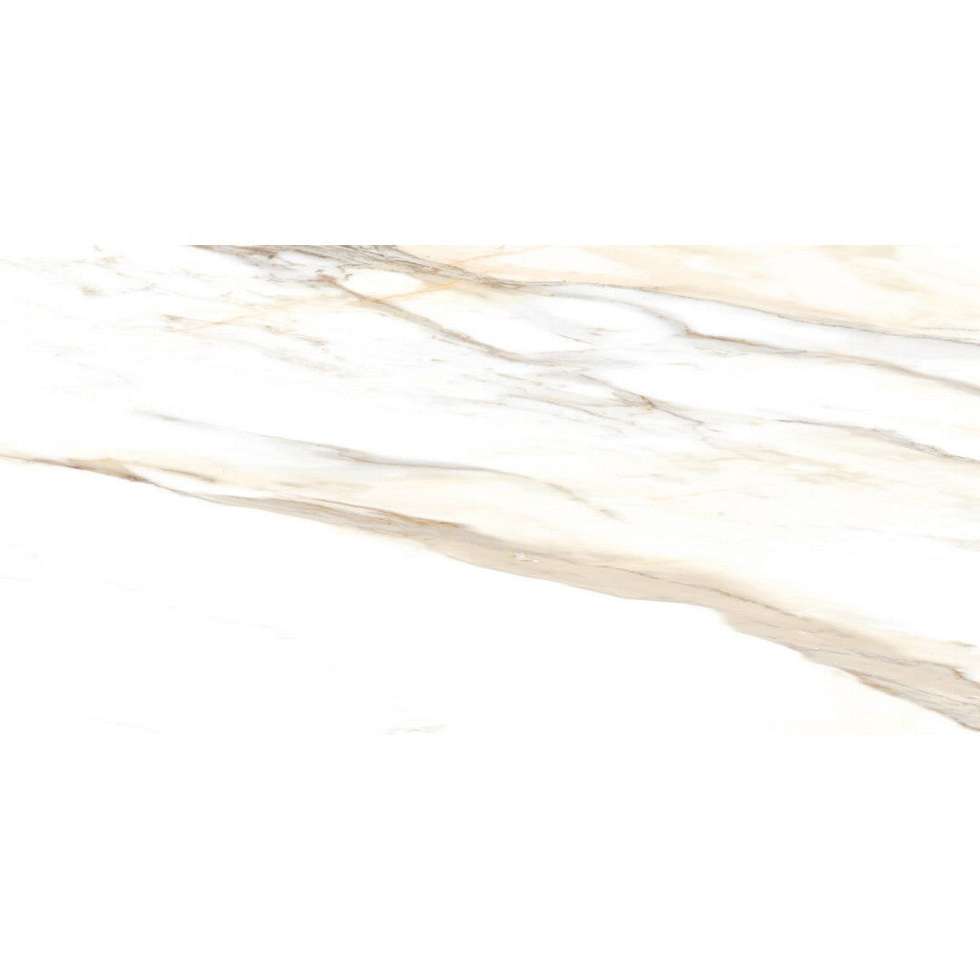 Happy Floors Dorian 24" x 48" Rectified Polished Porcelain Tile