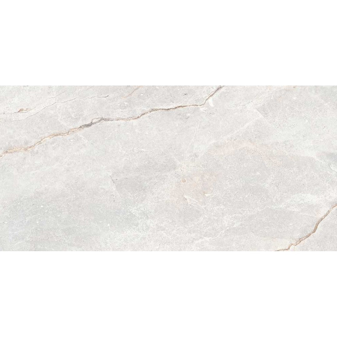 Happy Floors Toscana 24" x 48" Rectified Matte Porcelain Tile