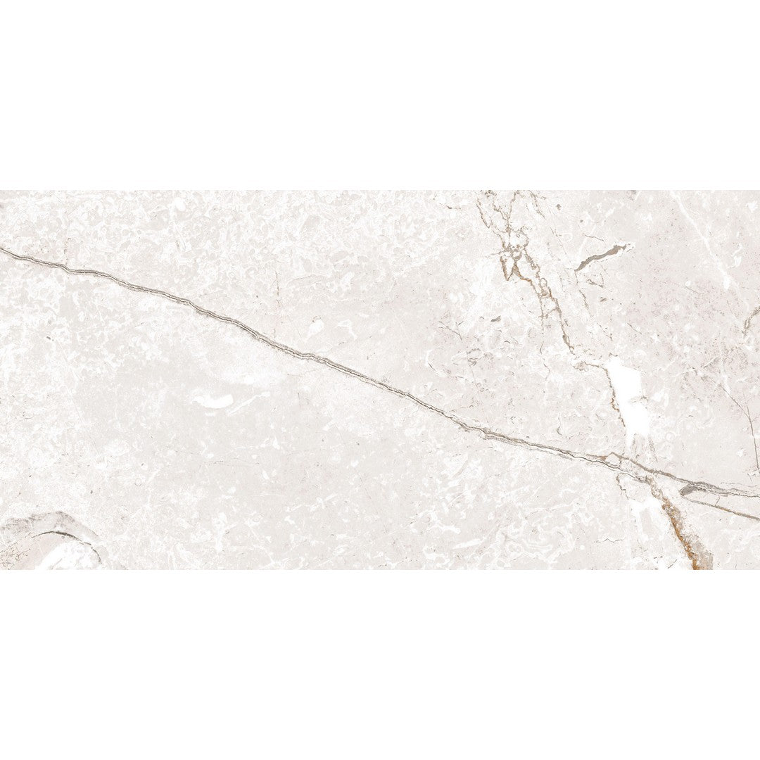 Happy Floors Toscana 12" x 24" Rectified Matte Porcelain Tile