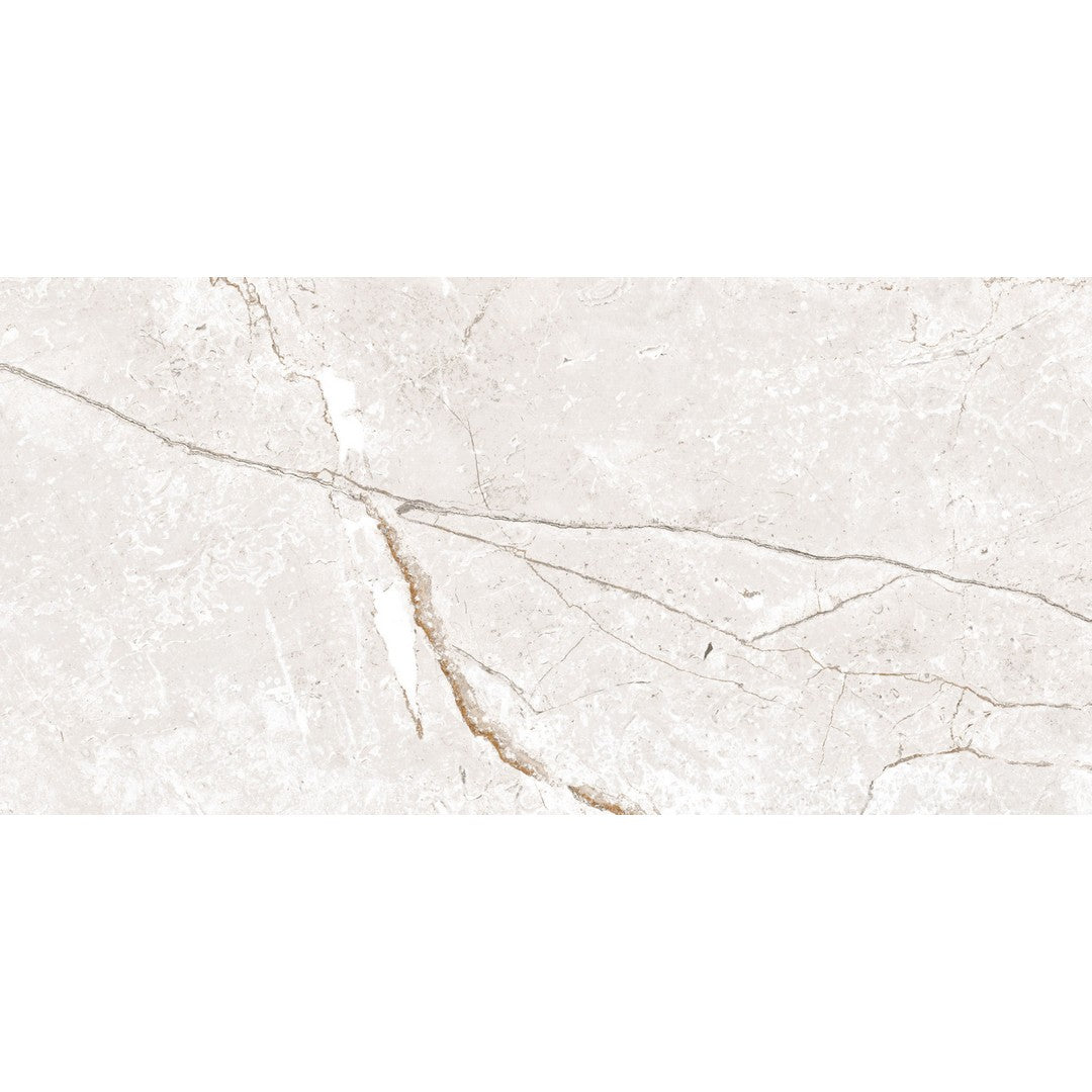 Happy Floors Toscana 24" x 48" Rectified Matte Porcelain Tile