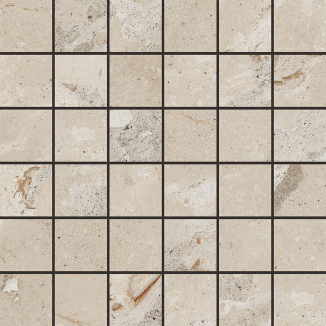 Happy Floors Eva 12" x 12" Matte Porcelain 2" Mosaic