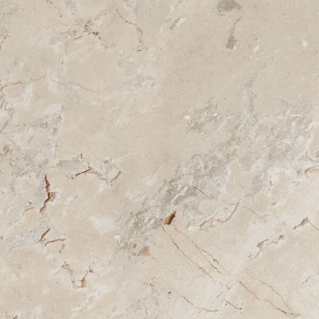 Happy Floors Eva 48" x 48" Polished Rectified Porcelain Tile