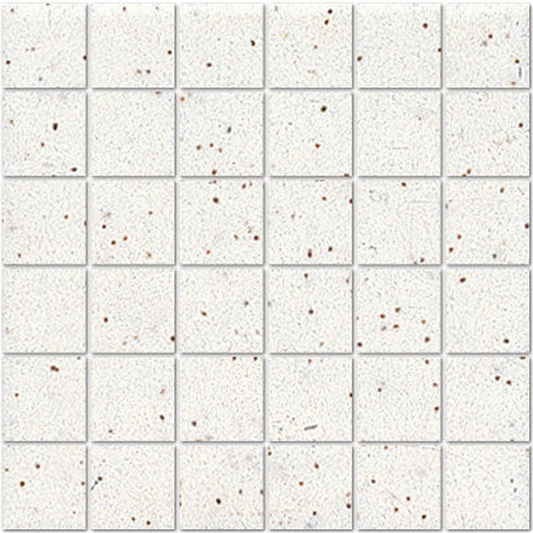 American Olean Unglazed ClearFace™ Mounting System 12" x 12" Porcelain 2" Mosaic