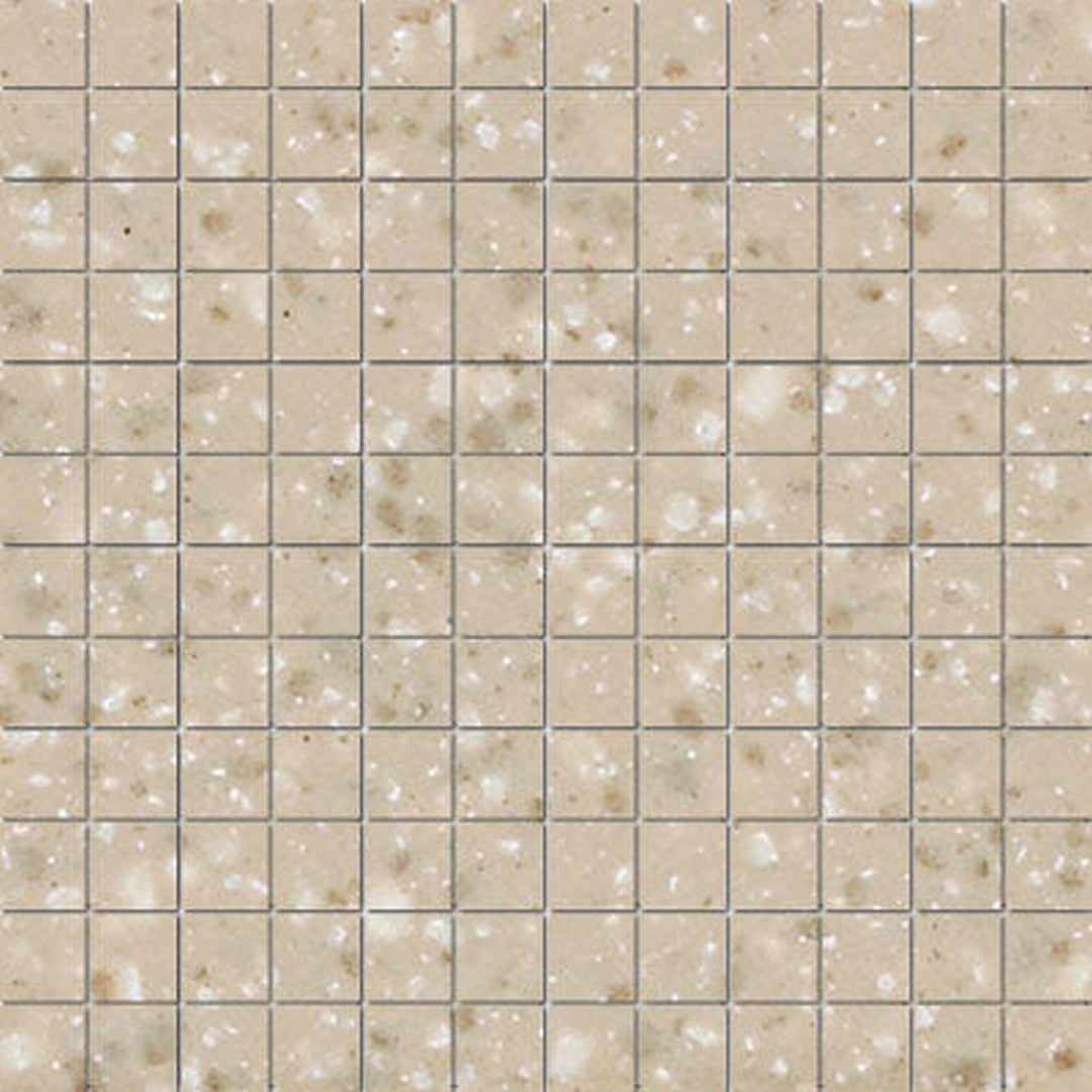 American Olean Unglazed ClearFace™ Mounting System 12" x 12" Porcelain 1" Mosaic