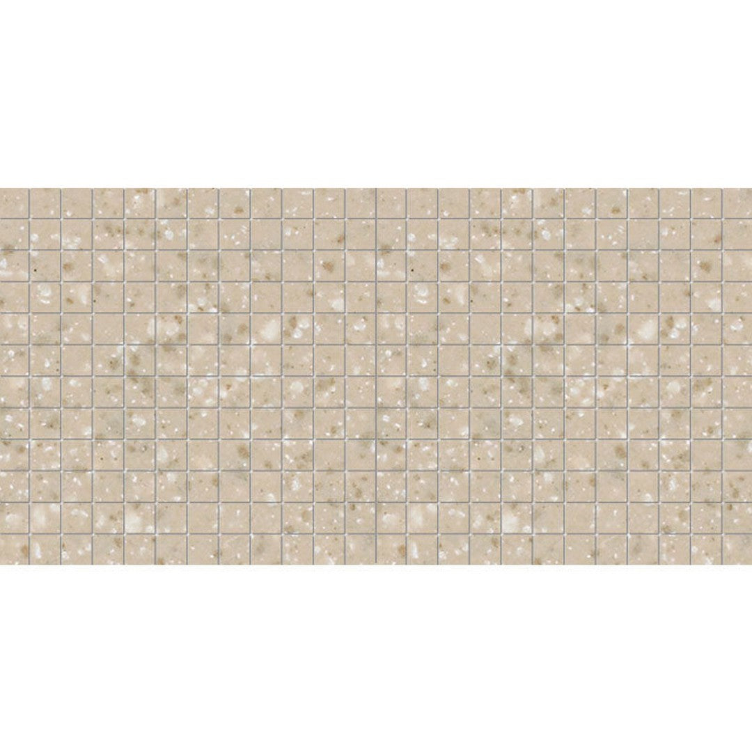 American Olean Unglazed Mosaics 12" x 24" Abrasive Porcelain 1" Mosaic