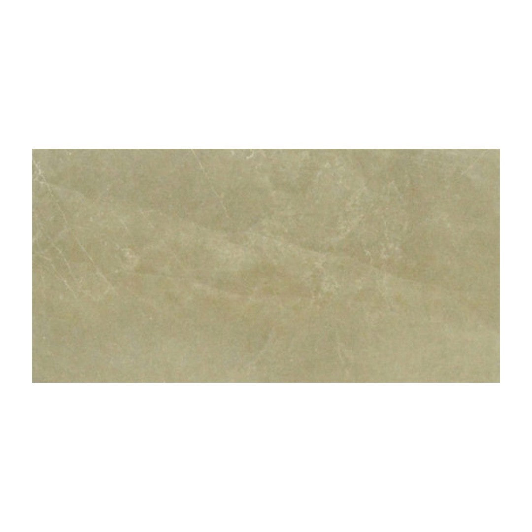 Anatolia Classic 6" x 12" Glossy Porcelain Tile