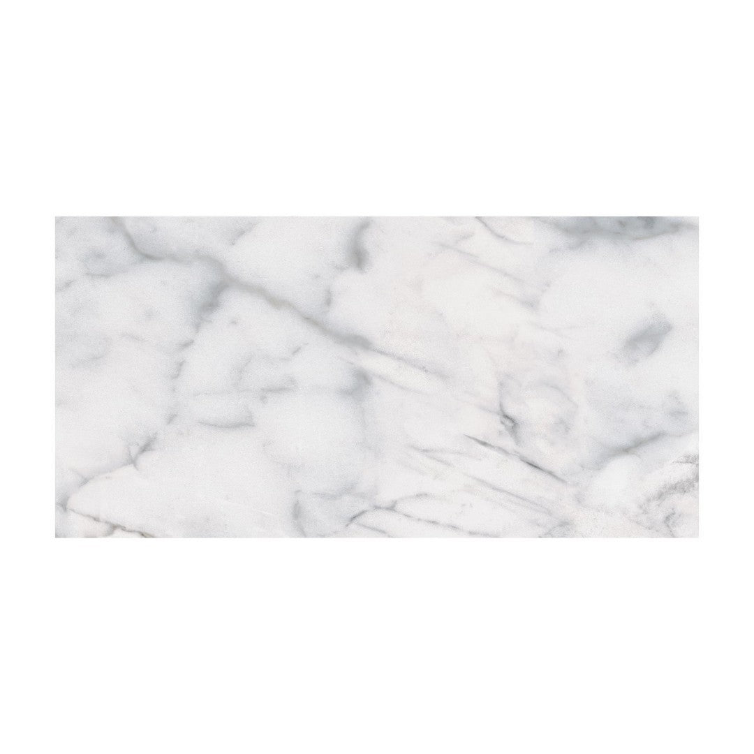 Anatolia Classic 12" x 24" Pressed Matte Porcelain Tile