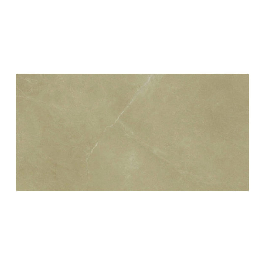 Anatolia Classic 12" x 24" Pressed Matte Porcelain Tile